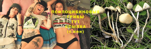 кокаин Алексеевка