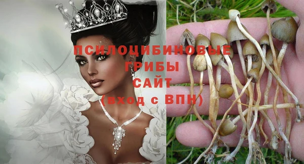 амф Алзамай