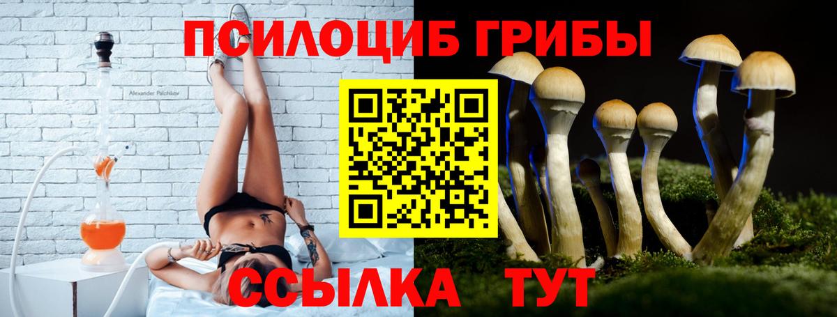 Чебоксары  Галлюциногенные грибы Psilocybine cubensis  Вход с VPN  Псилоцибиновые грибы ЛСД 